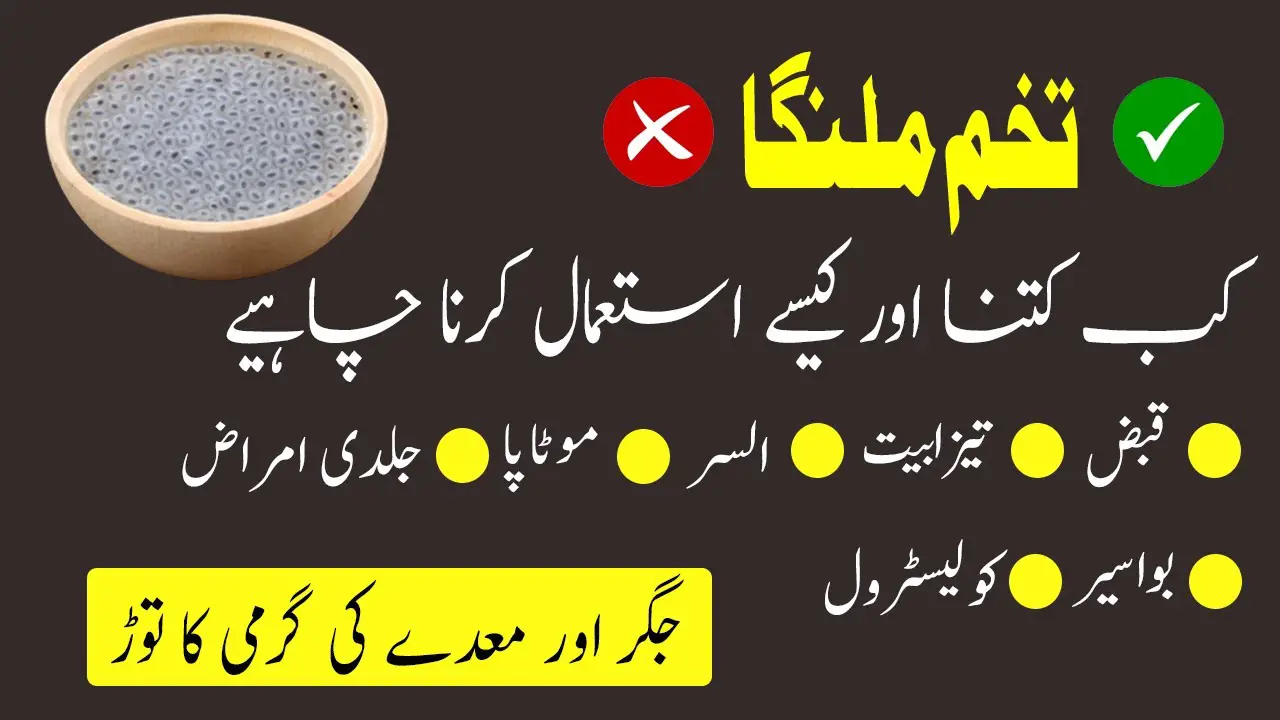 Tukh Malanga Benefits in Urdu Uses for Weight Loss (تخم ملنگا)