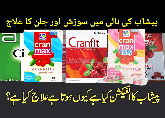 Cranberry Cran Max Sachet Uses in Urdu Pregnancy, Dose and Side Effects Peshab Ki Nali Ka Infection