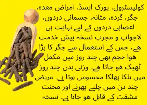 Best Meal Delivery Services for Weight Loss 2026