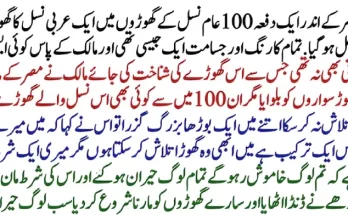 Easy Way to Lose Weight