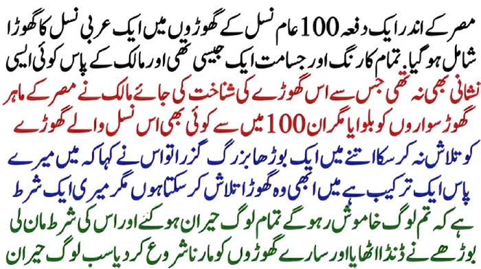 Easy Way to Lose Weight