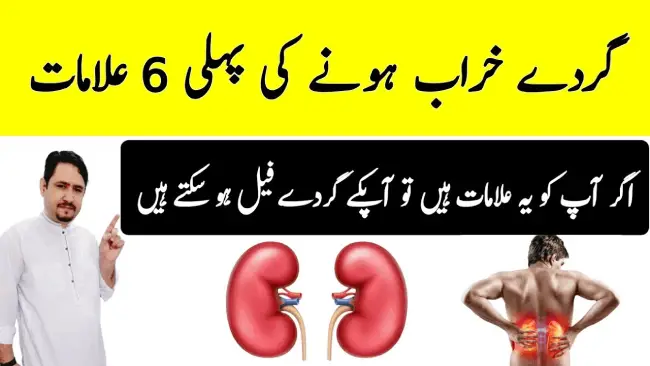 Kidney Care