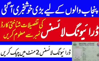 Check Verify Driving License Online in Punjab by DLMIS