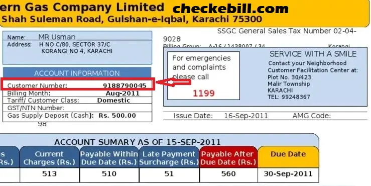 SSGC Gas Bill consumer number