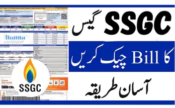 SSGC Online Bill Check: